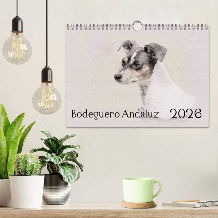 Produktbild: Bodeguero Andaluz 2026 (Wandkalender 2026 DIN A4 quer), CALVENDO Monatskalender