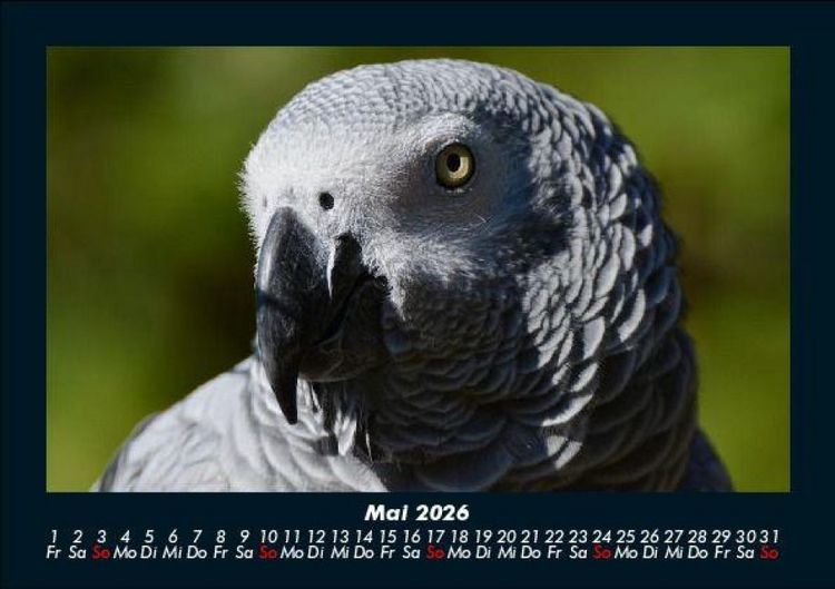 Produktbild: Welt der V&ouml;gel 2026 Fotokalender DIN A5