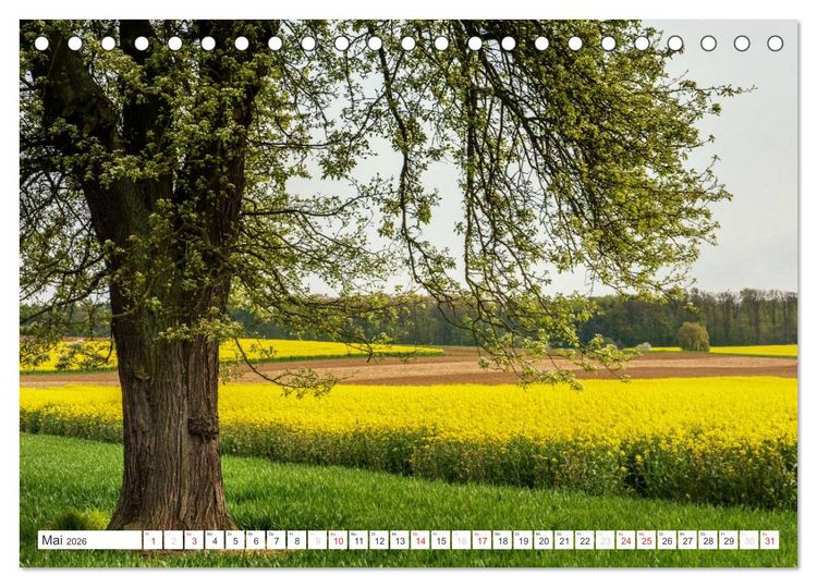 Produktbild: Die Wetterau - Landschaft und Kultur (Tischkalender 2026 DIN A5 quer), CALVENDO Monatskalender