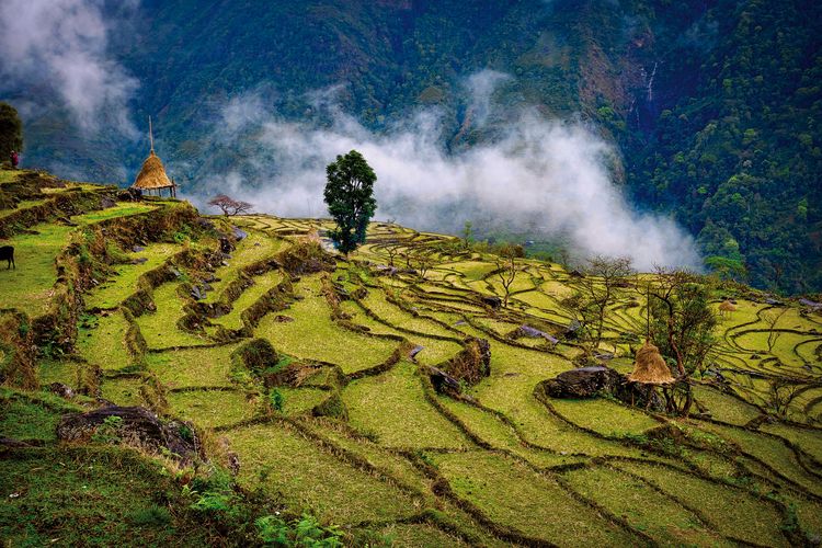 Produktbild: The Great Himalaya Trail