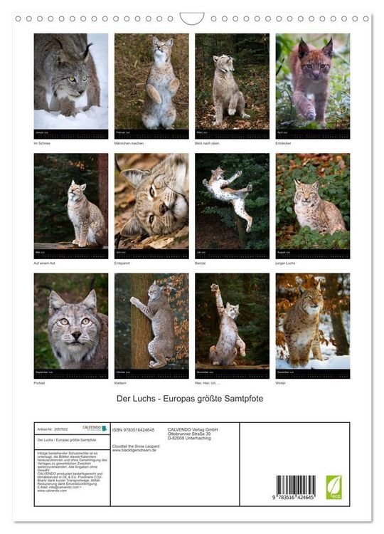 Produktbild: Der Luchs - Europas gr&ouml;&szlig;te Samtpfote (Wandkalender 2026 DIN A3 hoch), CALVENDO Monatskalender