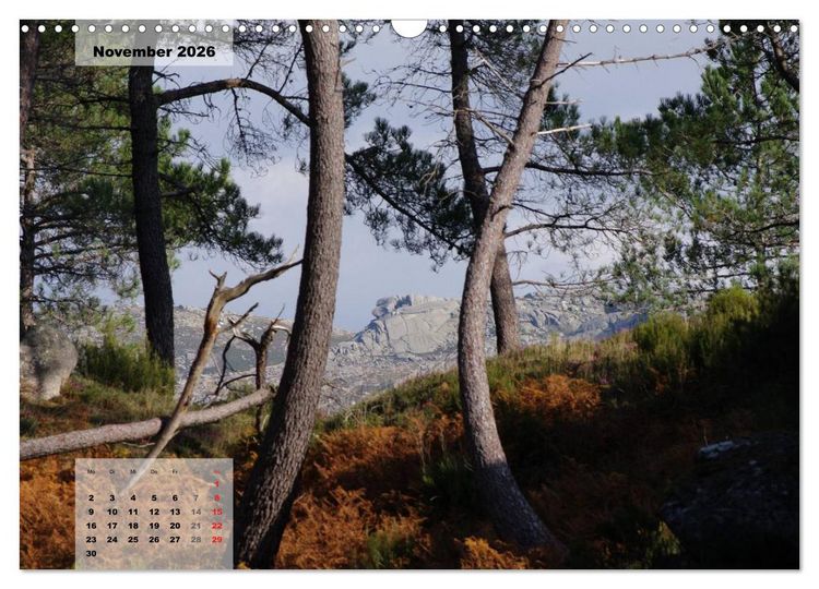 Produktbild: Nordportugal - Heimat der letzten wilden Pferde (Wandkalender 2026 DIN A3 quer), CALVENDO Monatskalender