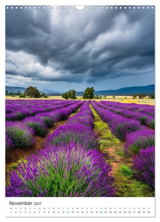 Produktbild: Der Sommer bl&uuml;ht violett (Wandkalender 2027 DIN A3 hoch), CALVENDO Monatskalender