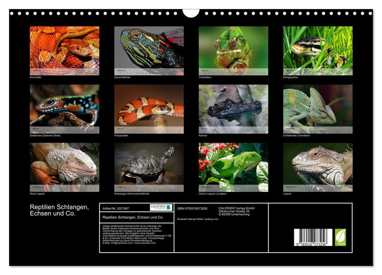 Produktbild: Reptilien Schlangen, Echsen und Co. (Wandkalender 2026 DIN A3 quer), CALVENDO Monatskalender