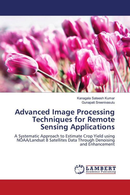 Produktbild: Advanced Image Processing Techniques for Remote Sensing Applications