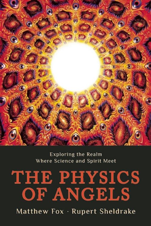 Produktbild: The Physics of Angels