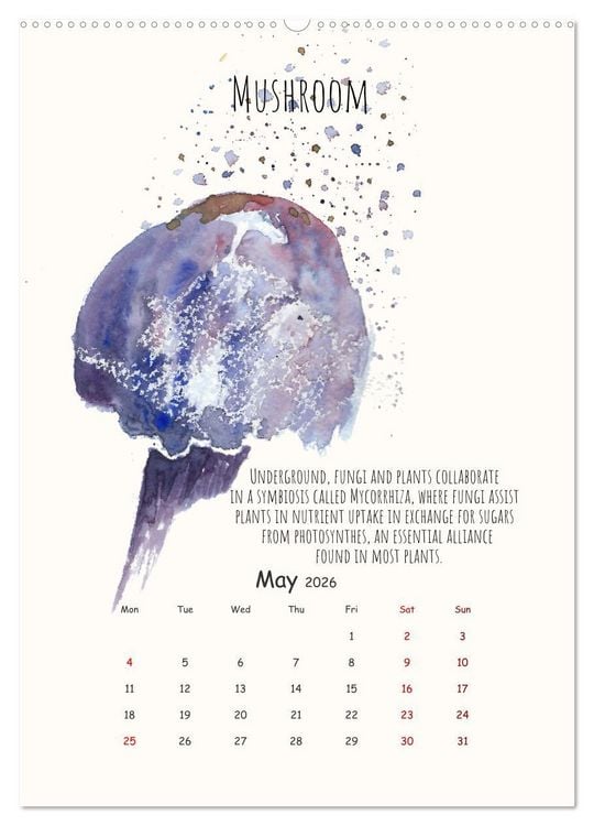 Produktbild: Symbiosis, the story of collaborations in nature (Wall Calendar 2026 DIN A2 portrait), CALVENDO 12 Month Wall Calendar