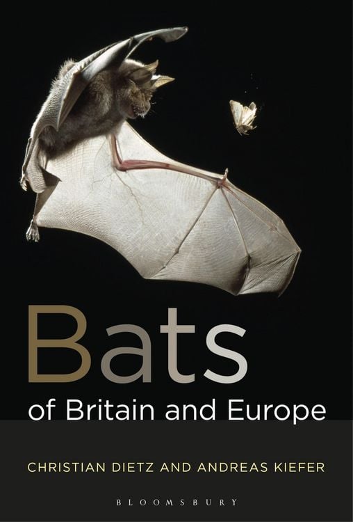 Produktbild: Bats of Britain and Europe