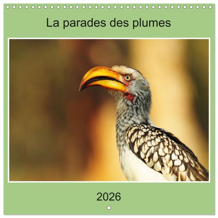 Produktbild: La parade des plumes (Calendrier mural carr&eacute; 2026 30x30 cm) Calendrier double avec une page pour vos prises de notes