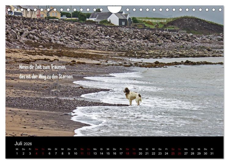 Produktbild: Irland - Irische Segensw&uuml;nsche (Wandkalender 2026 DIN A4 quer), CALVENDO Monatskalender
