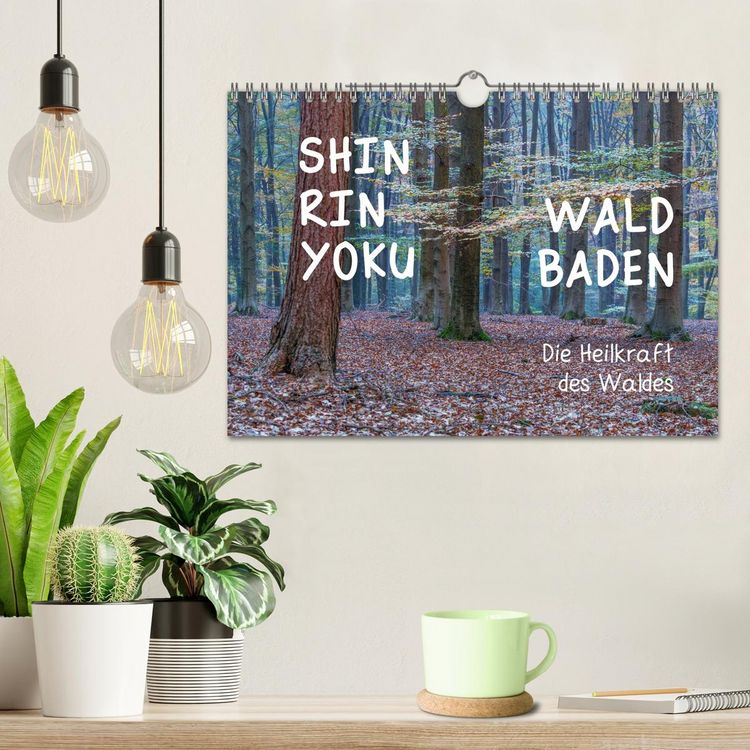 Produktbild: Shinrin yoku - Waldbaden 2026 (Wandkalender 2026 DIN A4 quer), CALVENDO Monatskalender