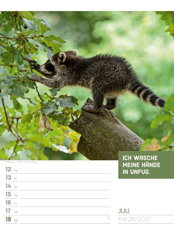 Produktbild: Tierisch Spr&uuml;chekalender Wochenplaner 2027