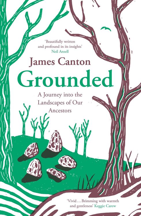 Produktbild: Grounded