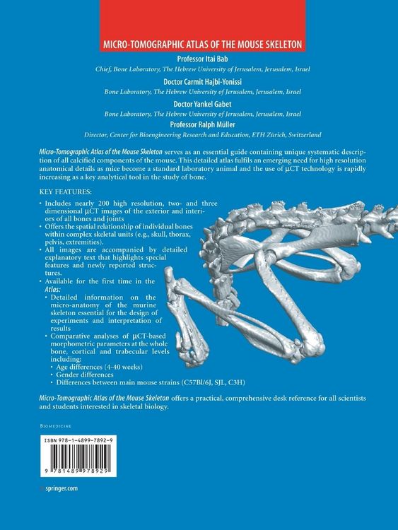 Produktbild: Micro-Tomographic Atlas of the Mouse Skeleton