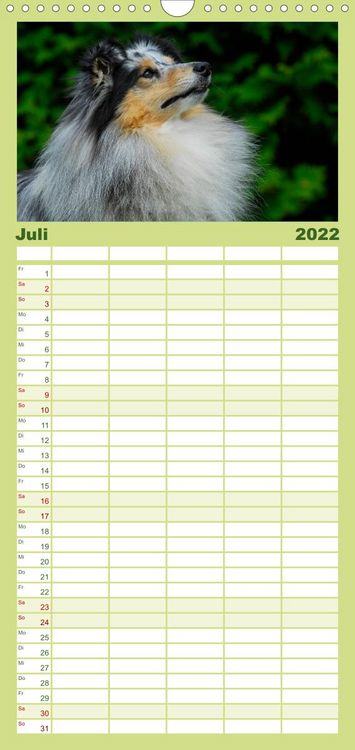 Produktbild: Sheltie 2022 - Familienplaner hoch (Wandkalender 2022 , 21 cm x 45 cm, hoch)
