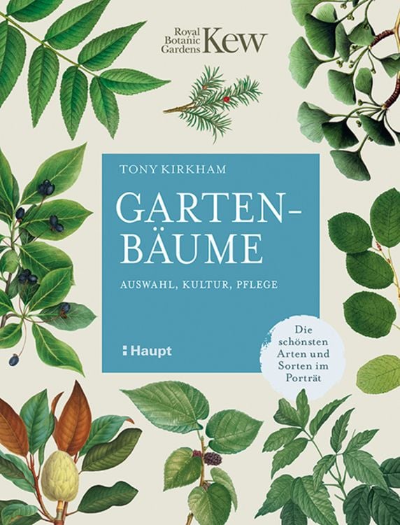 Produktbild: Gartenbäume