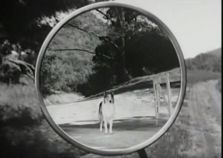 Produktbild: Lassie verschwindet