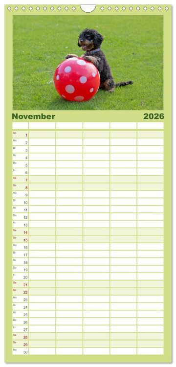 Produktbild: Familienplaner 2026 - Hunde - Beste Freunde der Menschen mit 5 Spalten (Wandkalender, 21 x 45 cm) CALVENDO