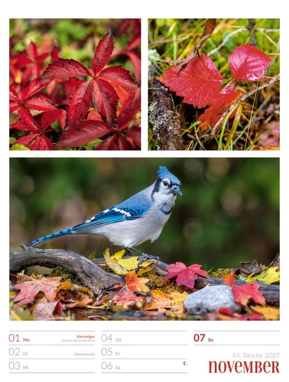Produktbild: Farben der Natur Wochenplaner Kalender 2027