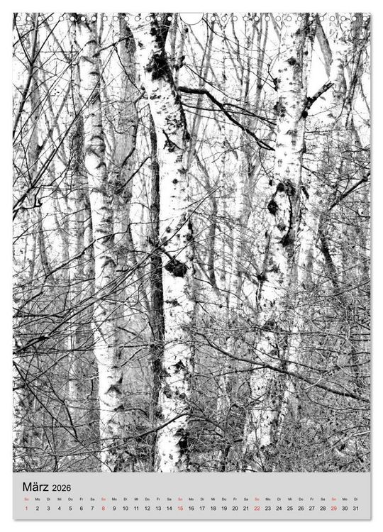 Produktbild: Natur monochrom Die besondere Wirkung (Wandkalender 2026 DIN A3 hoch), CALVENDO Monatskalender