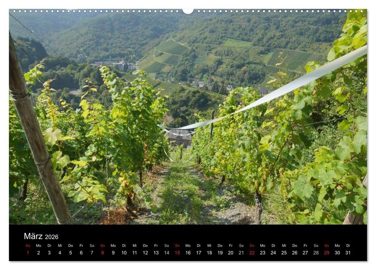 Produktbild: Sch&ouml;ne Mosel (Wandkalender 2026 DIN A2 quer), CALVENDO Monatskalender