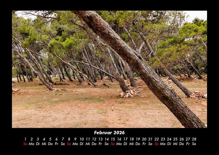 Produktbild: Waldzauber 2026 Fotokalender DIN A3