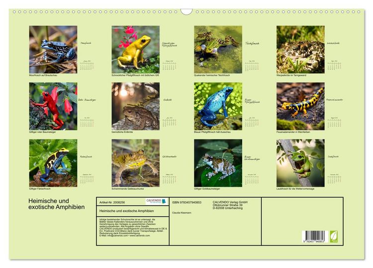 Produktbild: Heimische und exotische Amphibien (Wandkalender 2026 DIN A2 quer), CALVENDO Monatskalender