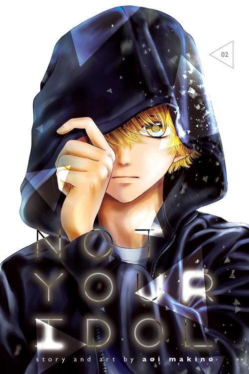 Produktbild: Not Your Idol, Vol. 2