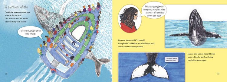 Produktbild: Watching Whales