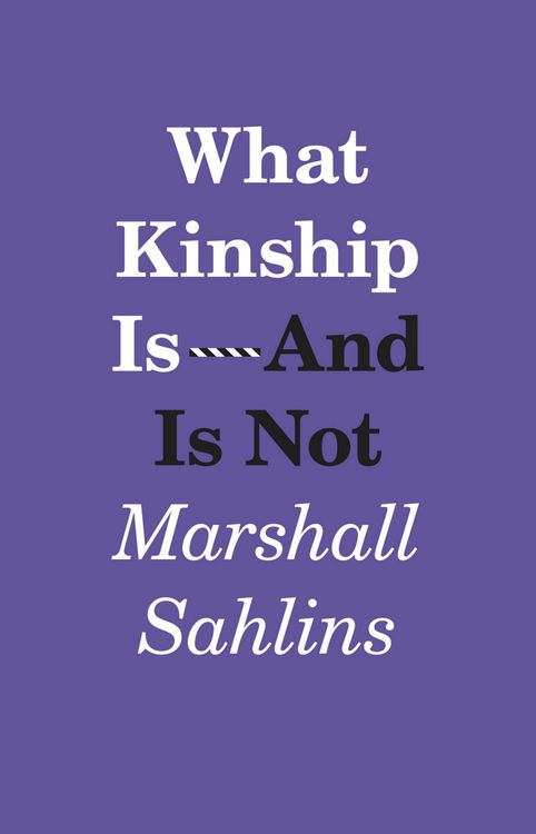 Produktbild: What Kinship Is-And Is Not