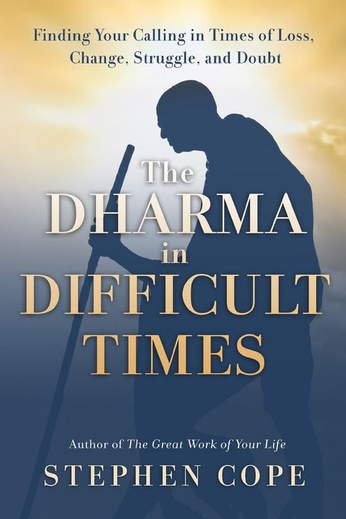 Produktbild: The Dharma in Difficult Times