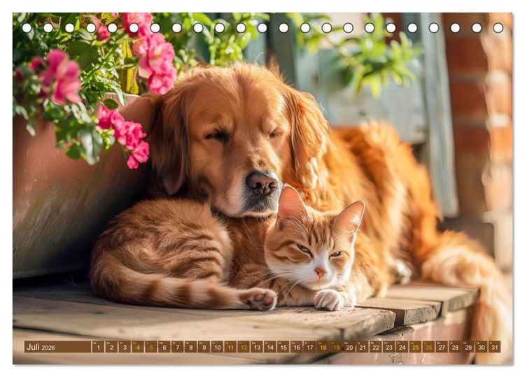 Produktbild: Bauernhof-Freunde - Hunde und ihre tierischen Freundschaften (Tischkalender 2026 DIN A5 quer), CALVENDO Monatskalender