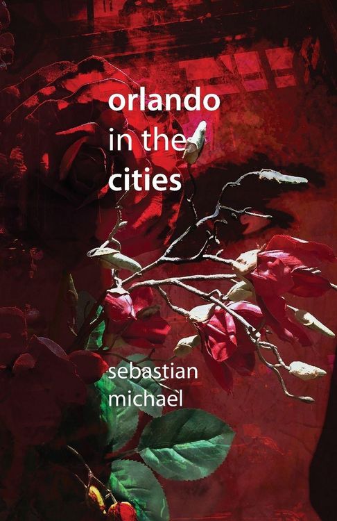 Produktbild: Orlando in the Cities