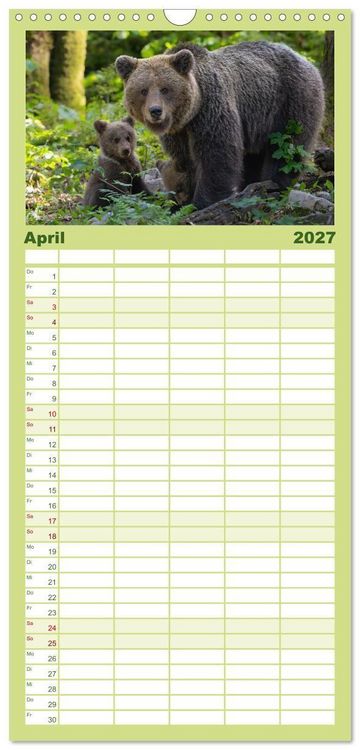 Produktbild: Familienplaner 2027 - Lautlos in den W&auml;ldern Sloweniens mit 5 Spalten (Wandkalender, 21 x 45 cm) CALVENDO