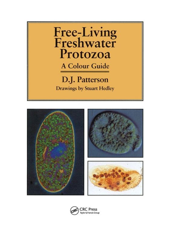 Produktbild: Freeliving Freshwater Protozoa