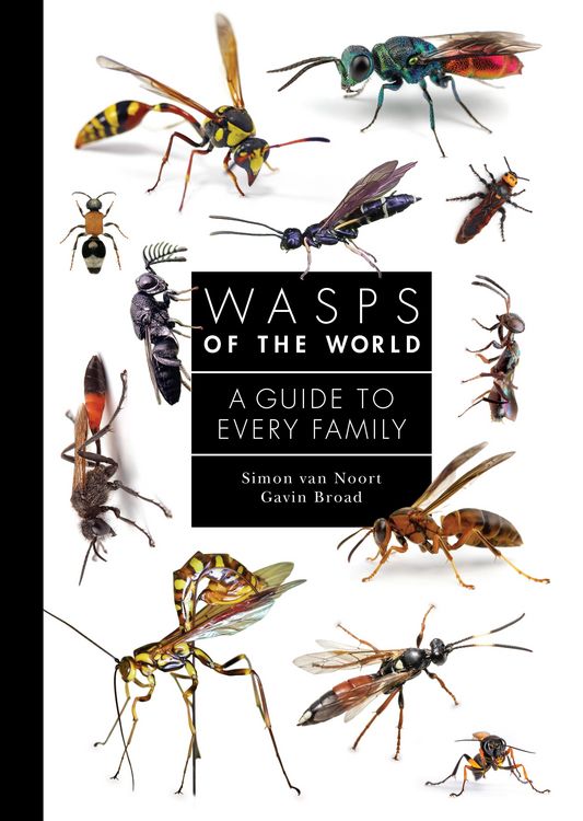 Produktbild: Wasps of the World