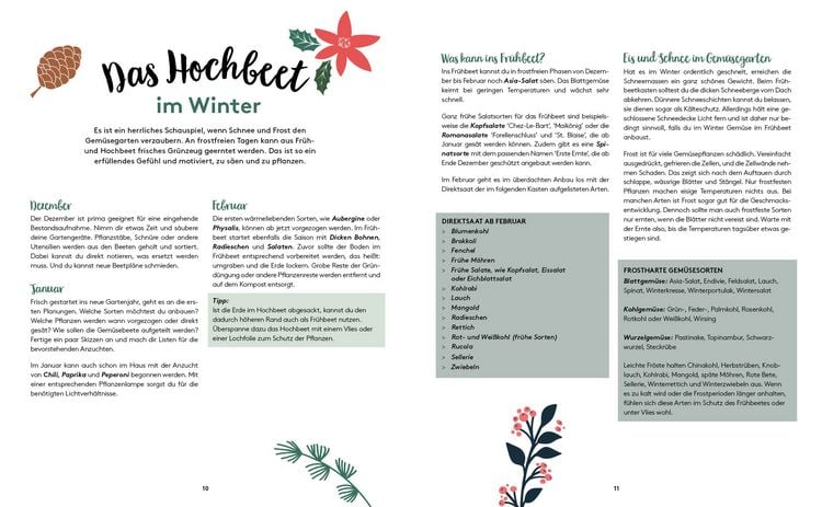 Produktbild: Mein Adventskalender-Buch &ndash; Ho, Ho, Hochbeetliebe