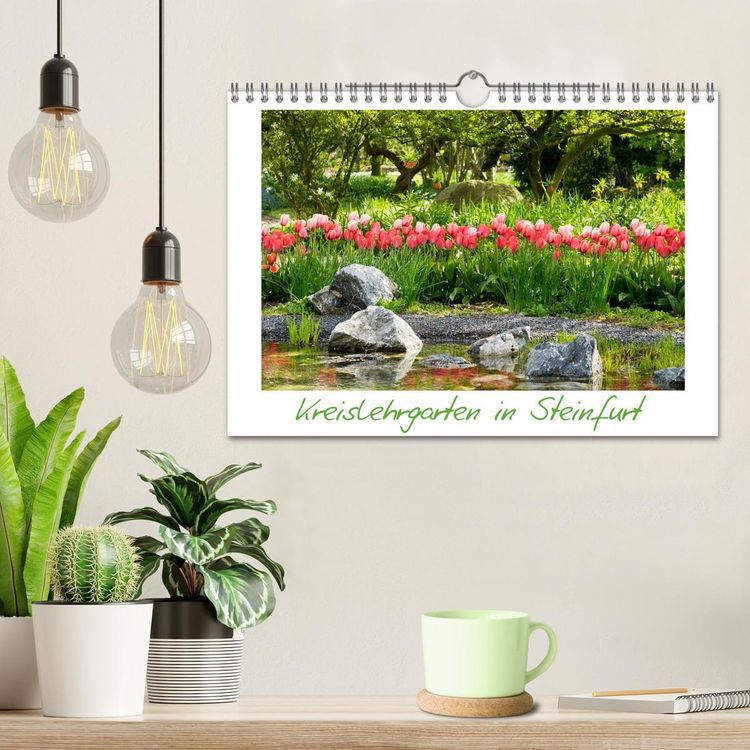 Produktbild: Kreislehrgarten in Steinfurt (Wandkalender 2026 DIN A4 quer), CALVENDO Monatskalender