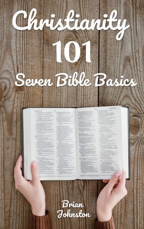 Produktbild: Christianity 101: Seven Bible Basics (Search For Truth Bible Series)