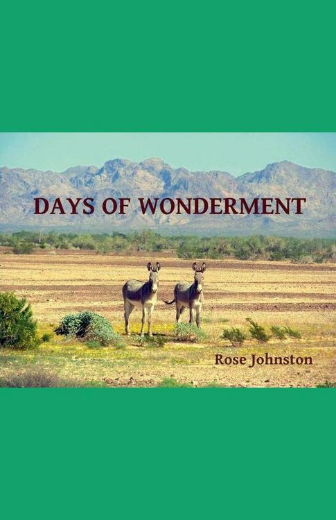 Produktbild: Days of Wonderment