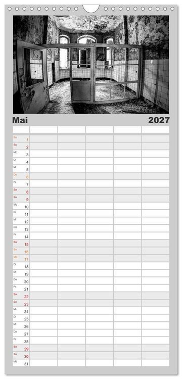 Produktbild: Familienplaner 2027 - Lost Beauty mit 5 Spalten (Wandkalender, 21 x 45 cm) CALVENDO