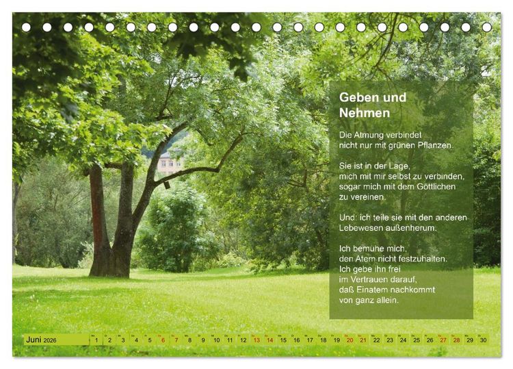 Produktbild: Im Rhythmus der Jahreszeiten und des Kirchenjahres (Tischkalender 2026 DIN A5 quer), CALVENDO Monatskalender