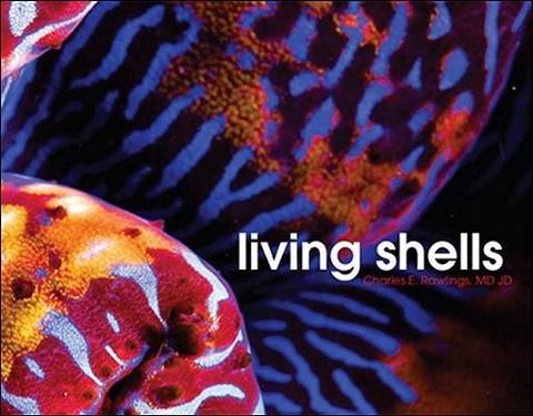 Produktbild: Living Shells