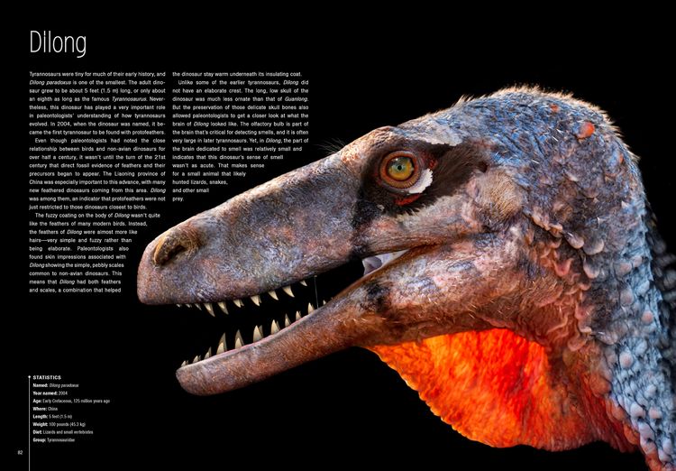Produktbild: Dinosaurs