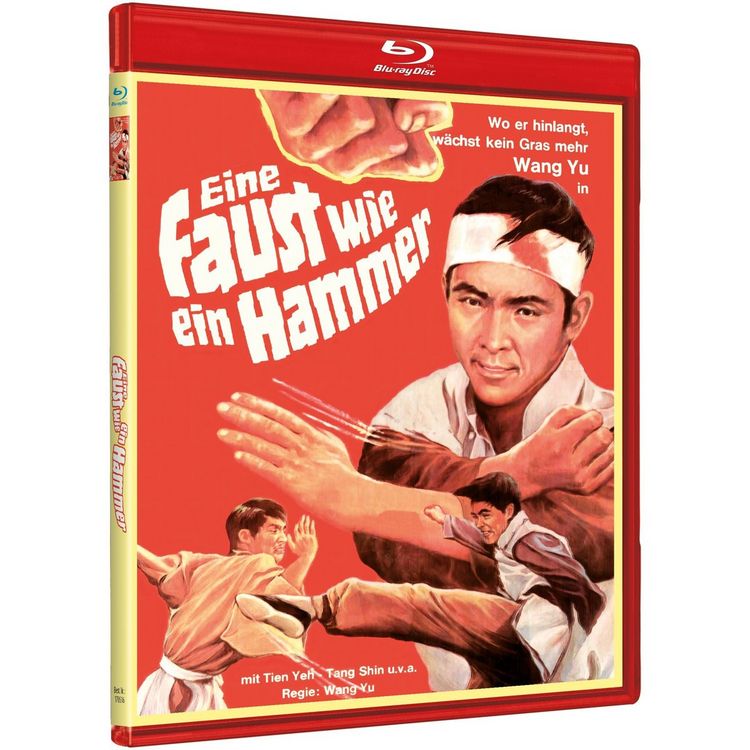 Produktbild: Wang Yu: EINE FAUST WIE EIN HAMMER - COVER B