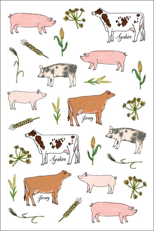 Produktbild: Farm Anatomy Sticker Book