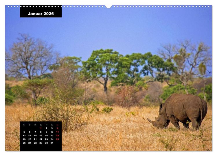 Produktbild: Blickpunkte des S&uuml;dlichen Afrika (hochwertiger Premium Wandkalender 2026 DIN A2 quer), Kunstdruck in Hochglanz