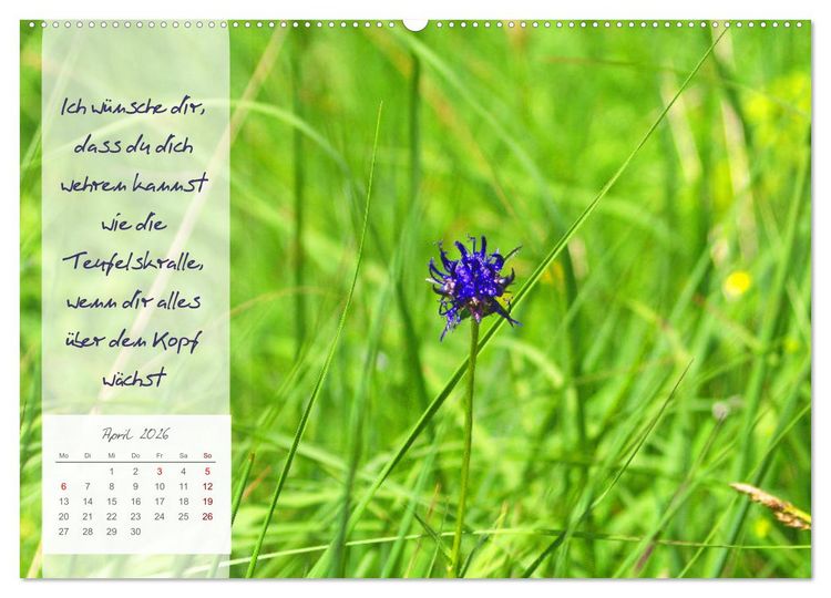 Produktbild: Bl&uuml;hende Herzensw&uuml;nsche f&uuml;r Dich! (Wandkalender 2026 DIN A2 quer), CALVENDO Monatskalender