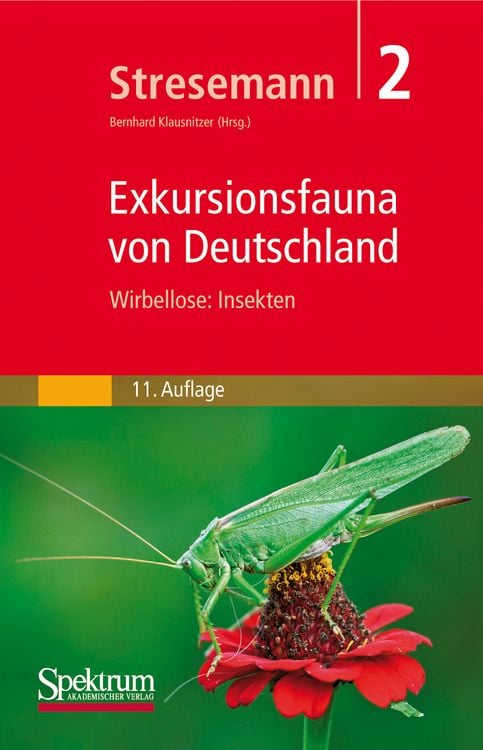 Produktbild: Stresemann - Exkursionsfauna von Deutschland, Band 2: Wirbellose: Insekten