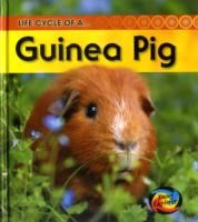 Produktbild: Life Cycle of a Guinea Pig